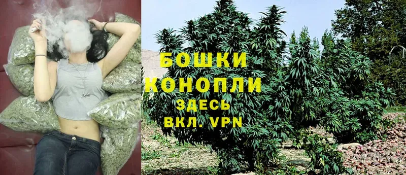 МАРИХУАНА OG Kush  блэк спрут сайт  Карталы 